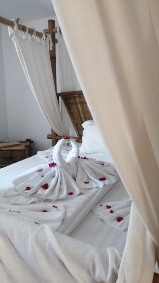 Pensiunea Rosenau Rîşnov エクステリア 写真