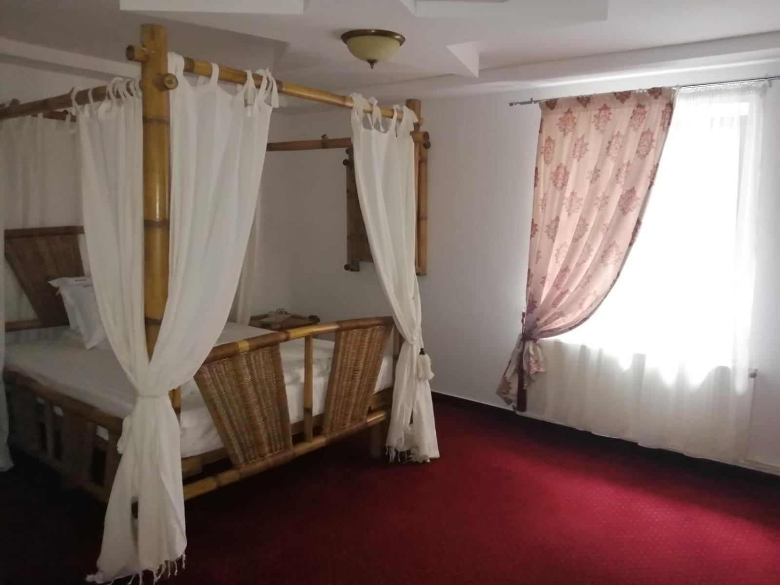 Pensiunea Rosenau Rîşnov エクステリア 写真